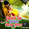 About Bisare Na Ego Pal Chehara Tohar Song